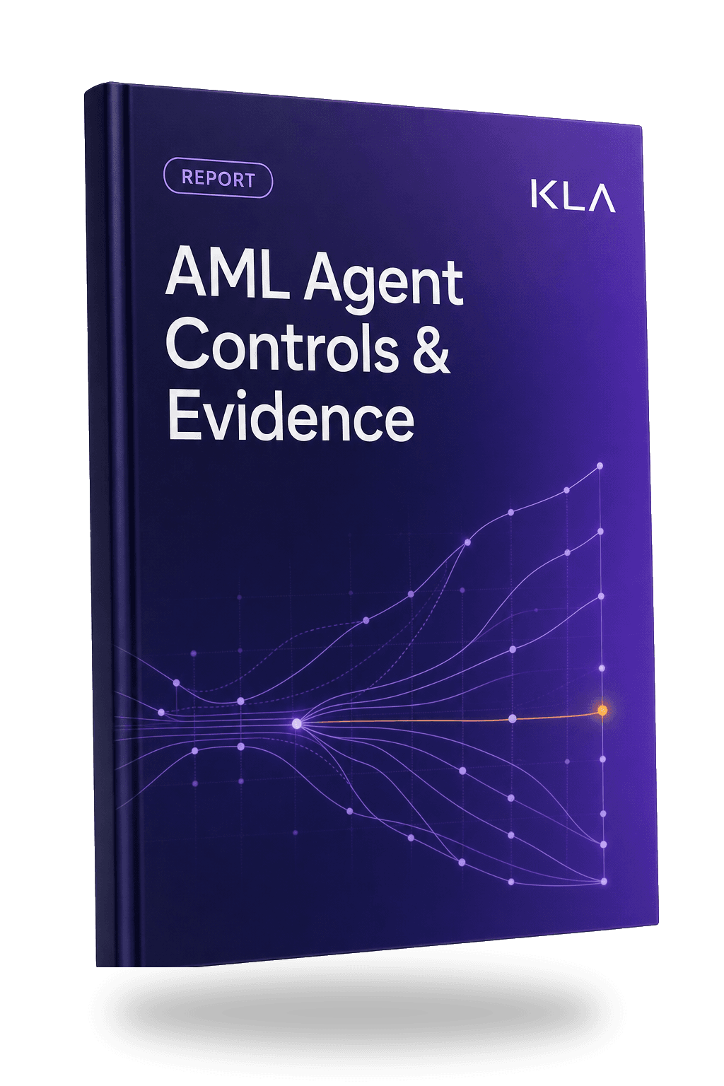 AML Agent Controls & Evidence Report — book cover
