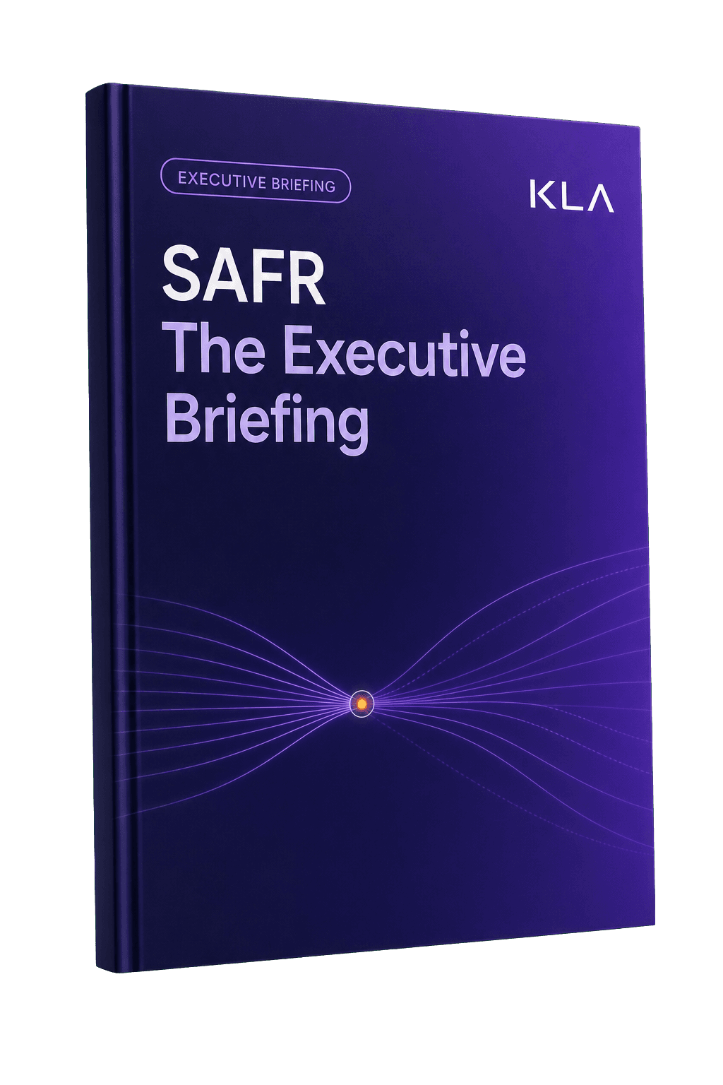 SAFR: The Executive Briefing — book cover